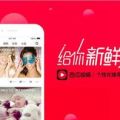 吃瓜鹅娱乐速报视频,最新热点事件大盘点